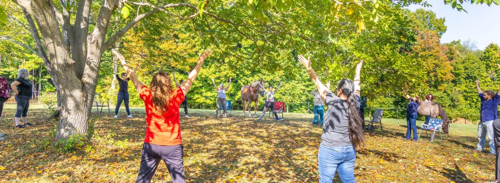 Yoga participants raise arms in a 5-pointed star position under a large shade tree. Horses join the circle.